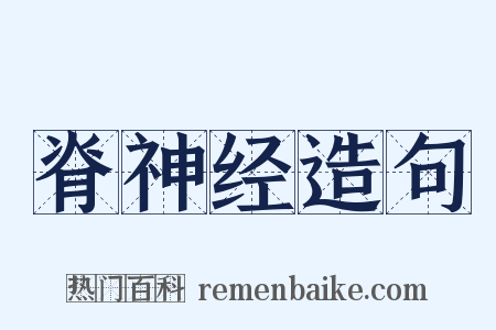 脊神经造句是什么意思的图片